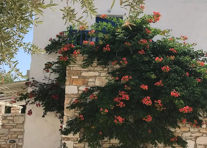 Ξενοδοχείο Anezina Village 3*