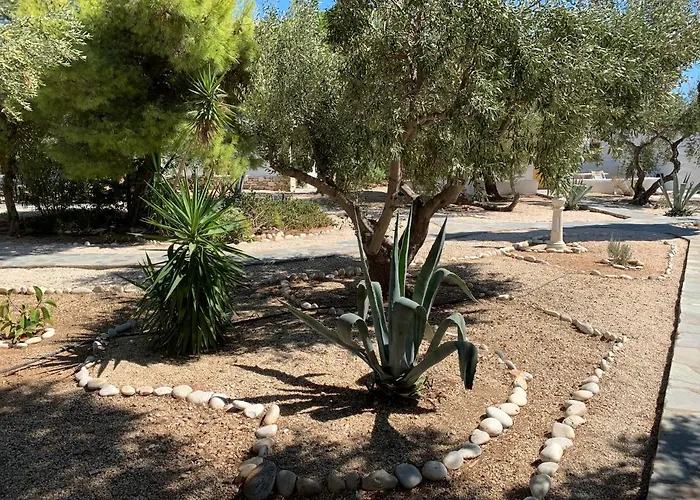 Anezina Village 3* Δρυός