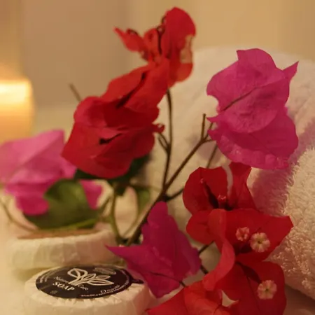 Anezina Village 3* Drios