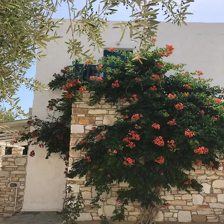 Отель Anezina Village 3*