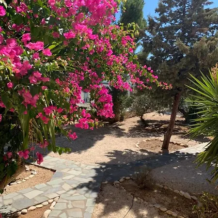 Anezina Village מלון
