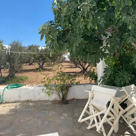 Anezina Village 3* Дриос