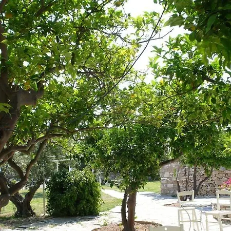 מלון Anezina Village דריוס