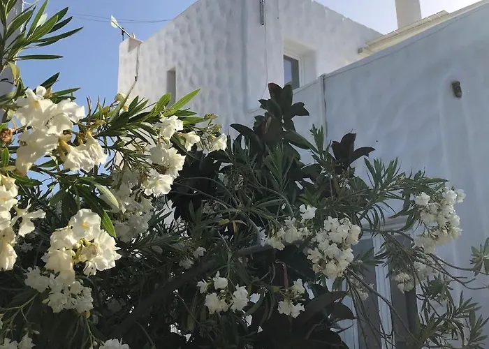 فندق Anezina Village 3*