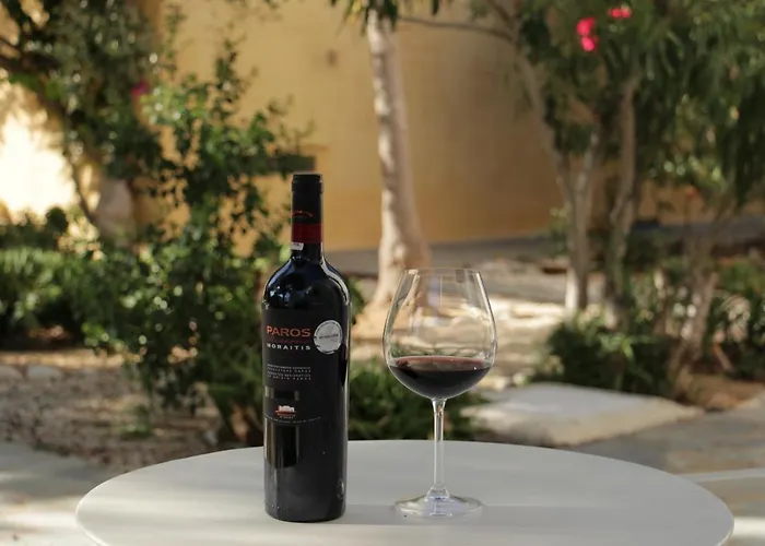 Anezina Village Дриос